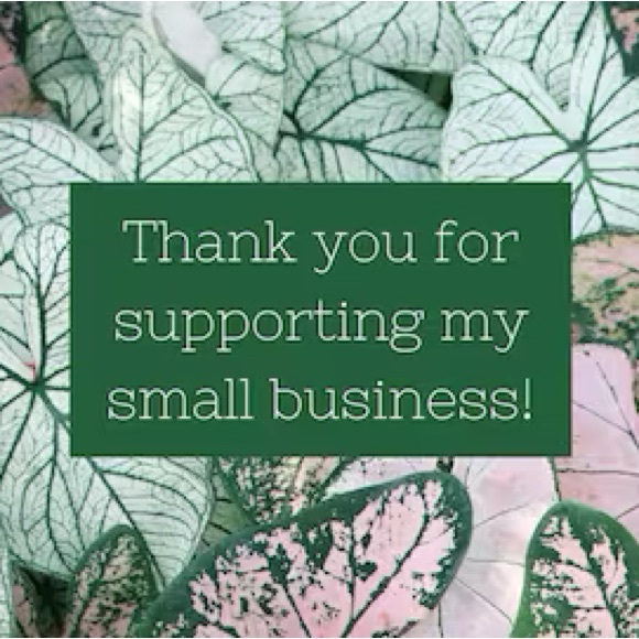 🪷Welcome To My Closet 🪷 - Picture 16 of 16